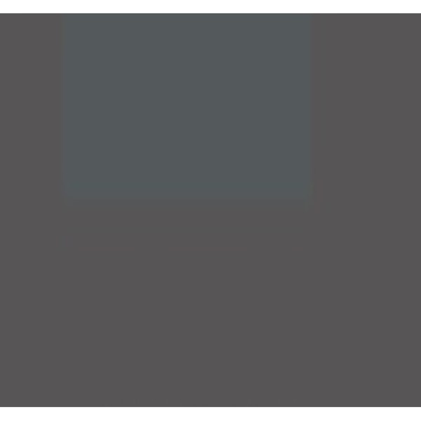 Vopsea gri JCB 1990- 1l