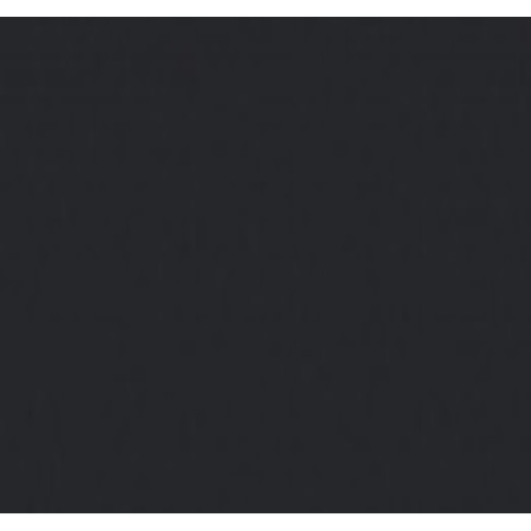 Vopsea neagra carbune Bomag 1l