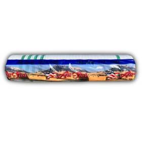 Plasa de balotat All Star 1,25 x 2000 (11 gr / ml)
