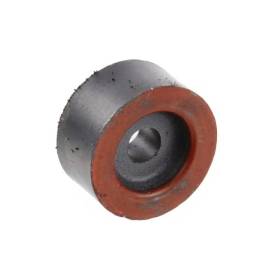 Magnet rotund Amaznone NZ042